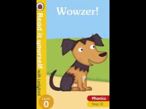 READ IT YOURSELF LEVEL 0 - PHONICS BK 10 WOWZER