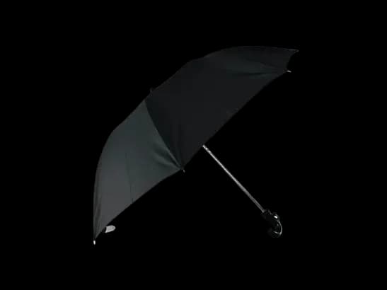 Rainco Ritual Umbrella – Black – 2 Fold (1041)