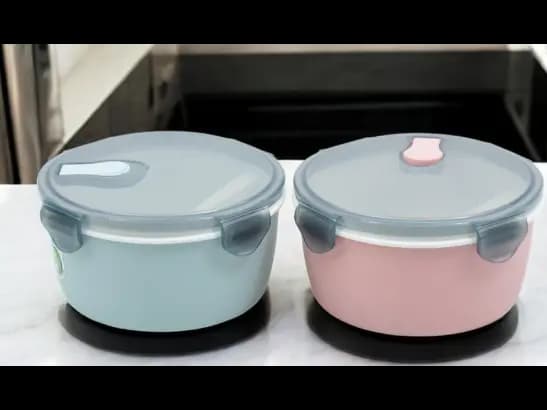 Lunch Container for Kids and adults