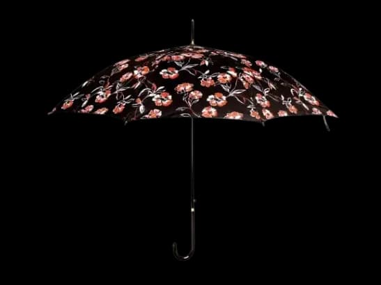 Rainco Curved Handle Ladies Umbrella – 3-Fold  1350KT