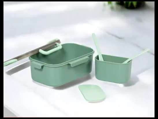 Lunch Container for Kids and adults (4)