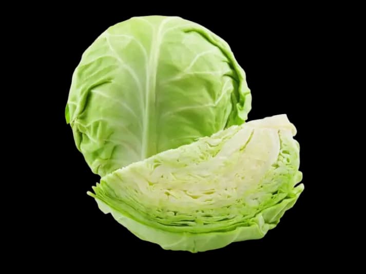 Cabbage