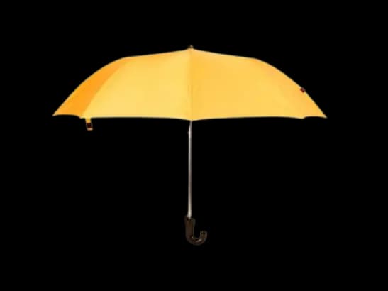 Rainco Ritual Umbrella – Yellow – 2 Fold Umbrella – 1044