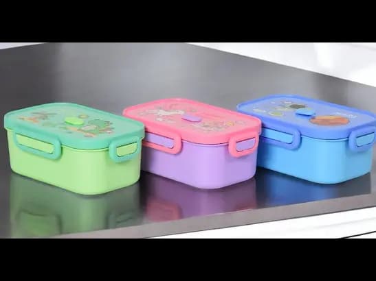 Lunch Container for Kids