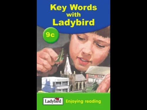 9c KEY WORDS WITH LADY BIRD - ENJOYING READING