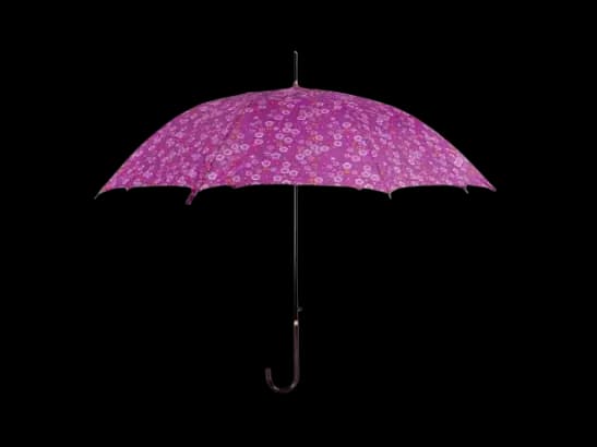 Rainco Curved Handle Ladies Umbrella – 3-Fold 1350KT (3)