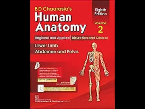 Chaurasias Human Anatomy Volume 2 8th Edition : Lower Limb Abdomen and Pelvis (OEB) by Chaurasias