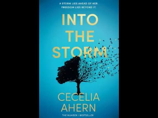 Into The Storm by Cecelia Ahern