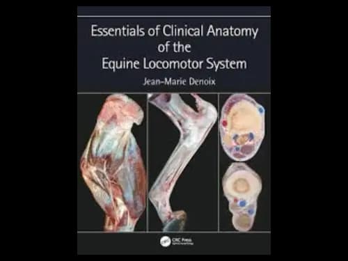 Essentials of Clinical Anatomy of the Equine Locomotor System by Jean Marie Denoix