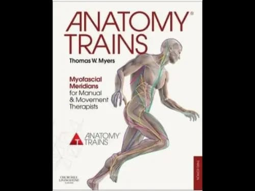 Anatomy Trains 3rd Edition : Myofascial Meridians for Manual and Movement Therapists by Thomas W. Myers