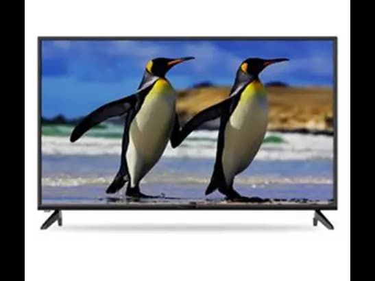 FUJI LED TV-43" (43N019A)