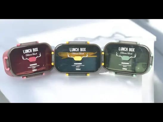 Lunch Container for Kids and adults