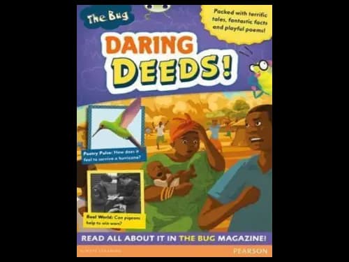Bug Club : Pro Guided Y4 : Daring Deeds by Cooke,Trish Pearson,Debor Irving,Ellie