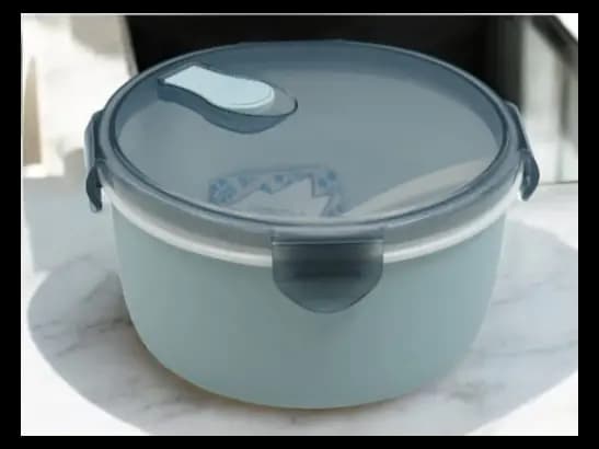 Lunch Container for Kids and adults (3)