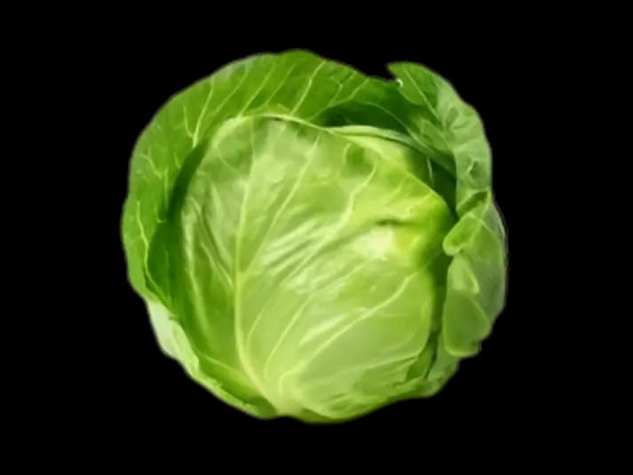 Cabbage (2)