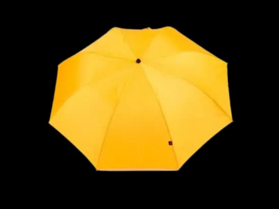 Rainco Ritual Umbrella – Yellow – 2 Fold Umbrella – 1044 (2)