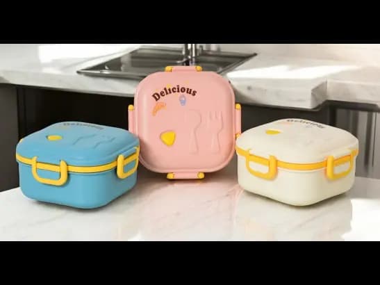 Lunch Container for Kids