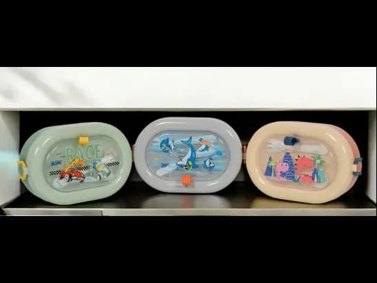 Lunch Container for Kids