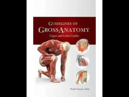 Guidelines of Gross Anatomy : Upper and Lower Limbs by Wajid Hussain Barki