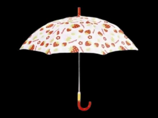 Rainco -  Junior 16" Folding Umbrella (1160) (3)
