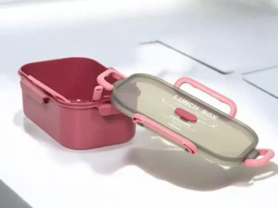 Lunch Container for Kids and adults (3)