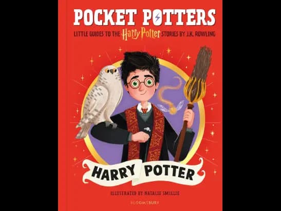 Pocket Potters: Harry Potter
