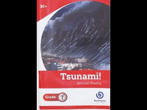 TSUNAMI - GRADE 7
