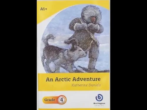 AN ARCTIC ADVENTURE - GRADE 4