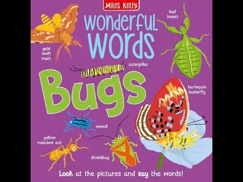 Wonderful Words Bugs by Amy Johnson