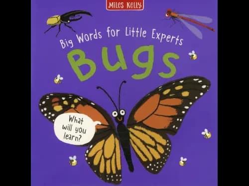 Big Words for Little Experts: Bugs