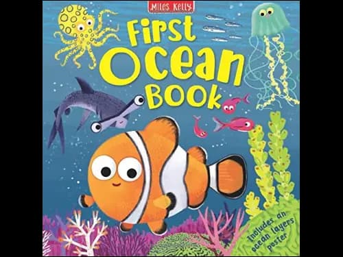 First Ocean Book by Barbara Taylor