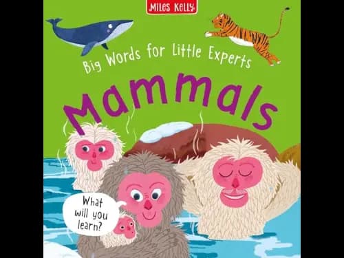 Big Words for Little Experts: Mammals by Fran Bromage