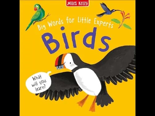 Big Words for Little Experts: Birds by Fran Bromage