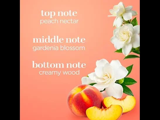 Body Fantasies Signature Fragrance Body Spray Sweet Sunrise Fantasy  , 236 ml - Imported from Canada (4)