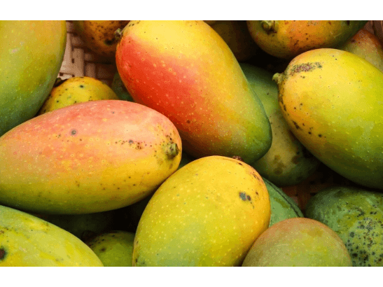 Milad Mango (2)