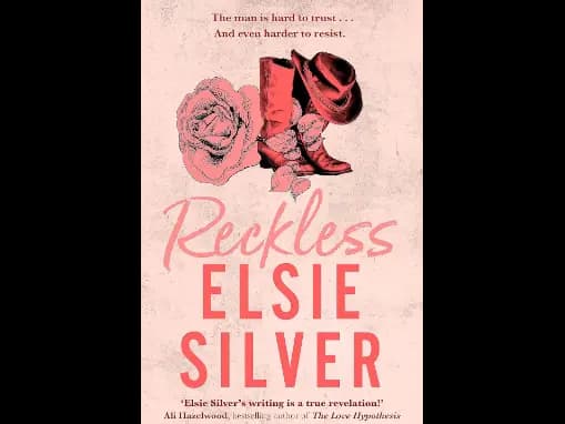 Reckless (Chestnut Springs) By Elsie Silver