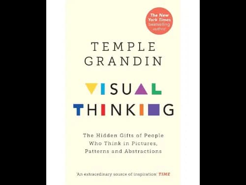 Visual Thinking (The Hidden Gifts Of People Who Think In Pictures, Patterns And Abstractions)