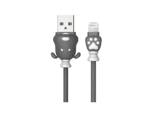Remax Fortune Data Cable 1m for Lightning (RC-106i) - 3 MONTHS WARRANTY (3)