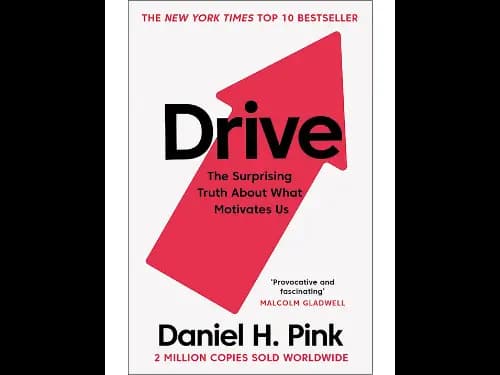 Drive: The Surprising Truth About What Motivates Us