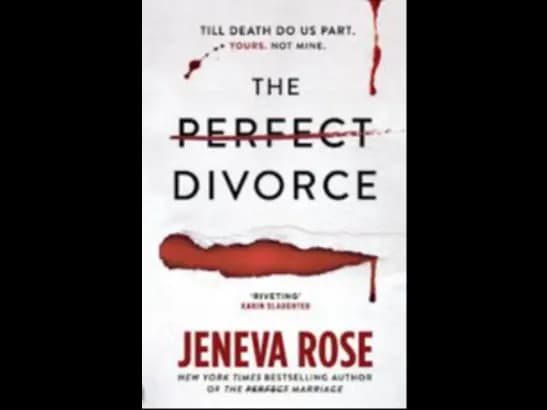 THE PERFECT DIVORCE