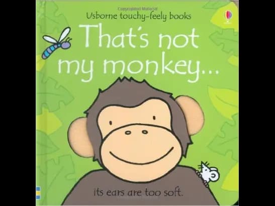 THATS NOT MY MONKEY