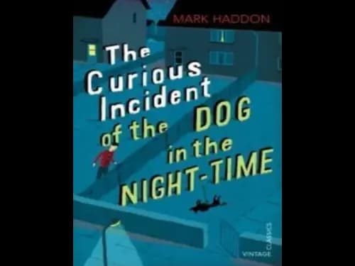 Vintage Classics : The Curious Incident of The Dog in The Night Time by Mark Haddon