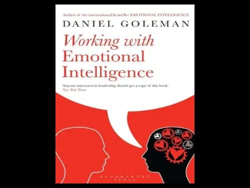 Working With Emotional Intelligence by Daniel Goleman