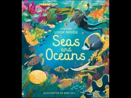 Look Inside Seas and Oceans