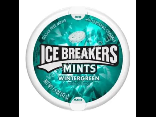 ICE BREAKERS Mints Wintergreen 42g