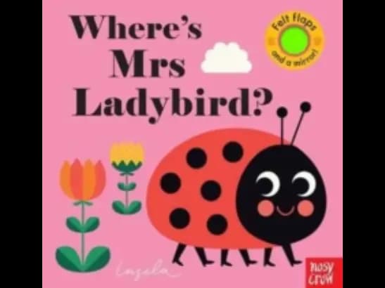 Where's Mrs Ladybird?