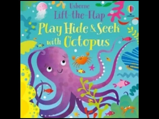 PLAY HIDE AND SEEK WITH OCTOPUS