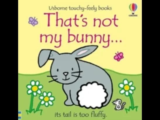 THATS NOT MY BUNNY