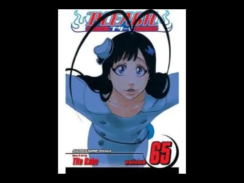 Bleach Volume 65 by Tite Kubo
