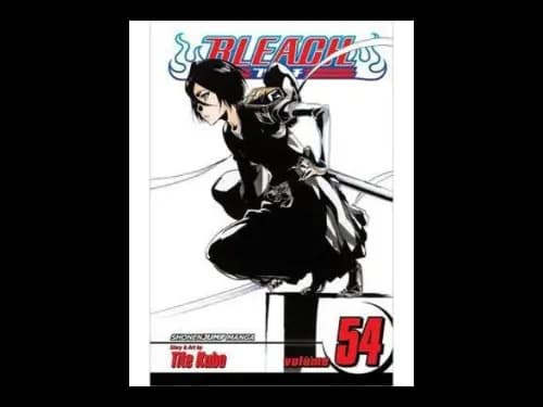 Bleach Volume 54 by Tite Kubo